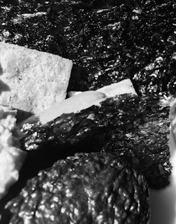 Close-up view of textured food items including sheets of nori, a piece of avocado, and possibly a cracker. The image is in black and white, emphasizing the different textures and surfaces.