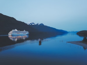 white cruise ship on body of water
