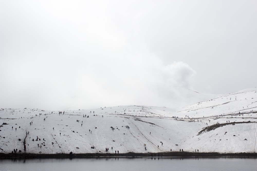 snow-covered land near body of water