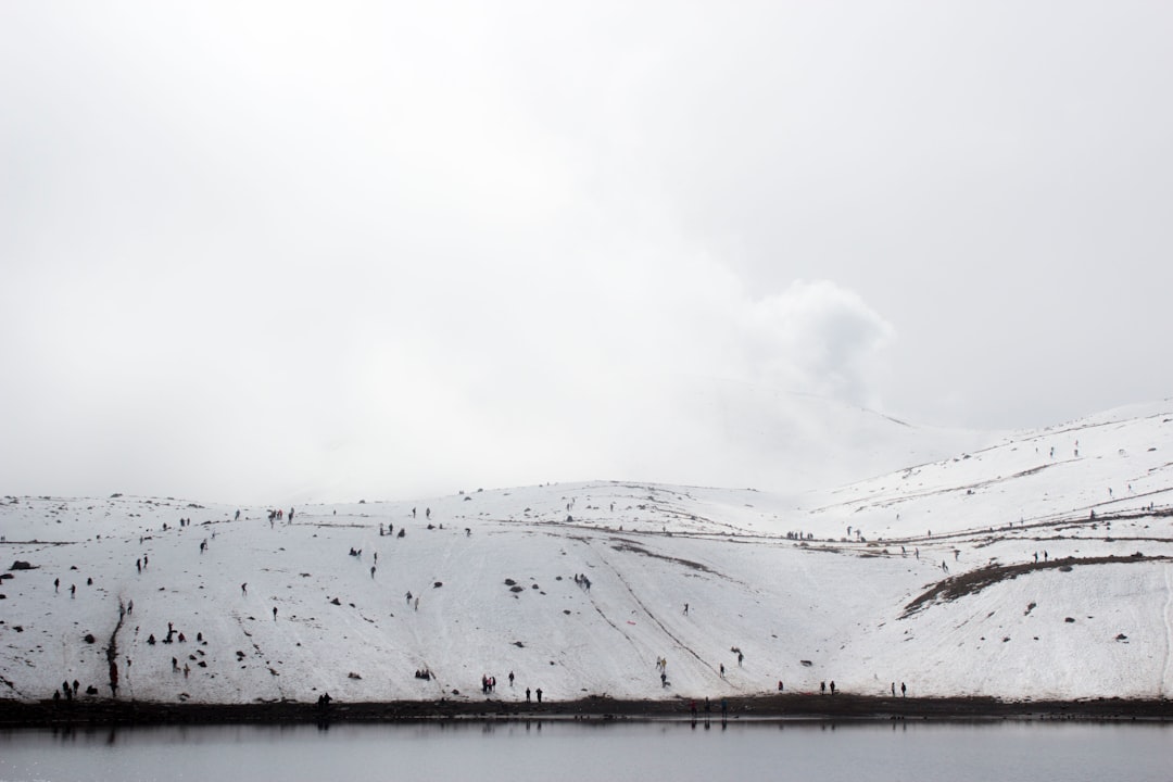 snow-covered land near body of water