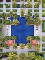 aerial view of pool surrounded by palm trees