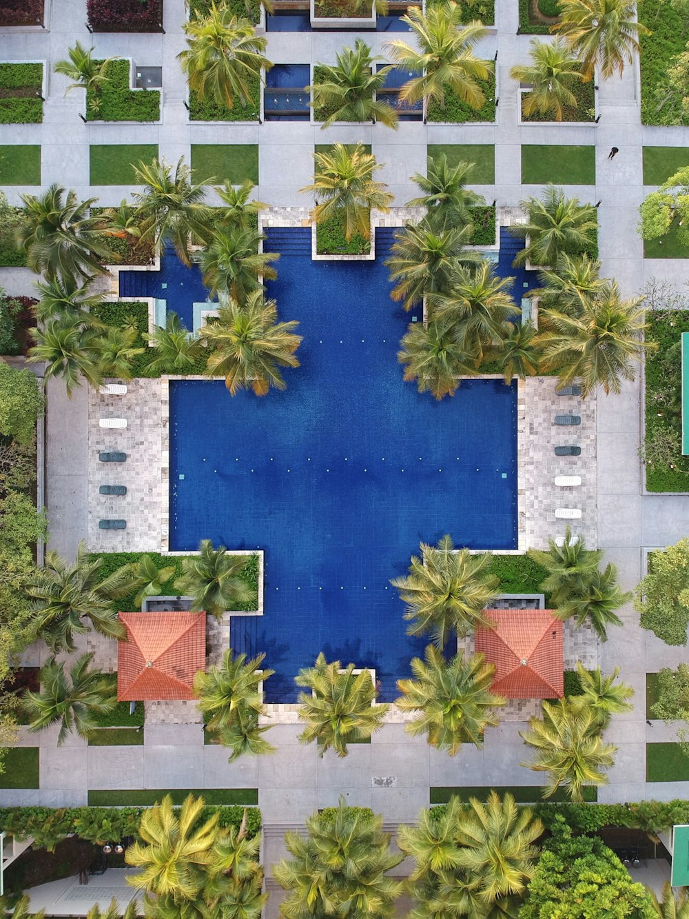 Vista aérea da piscina cercada por palmeiras