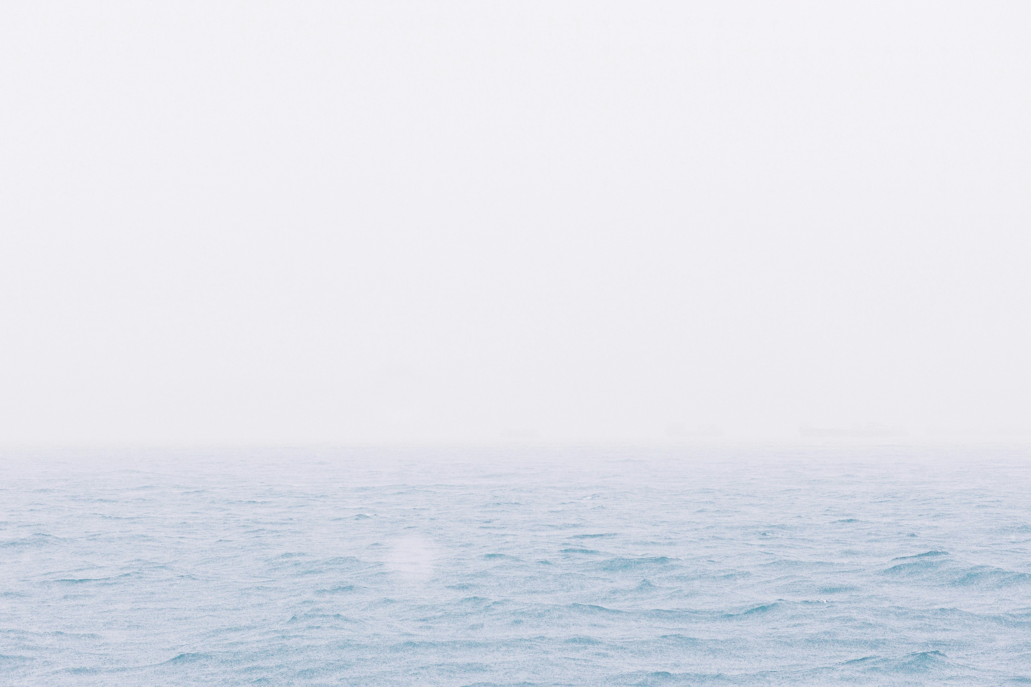 ananta | अनंत