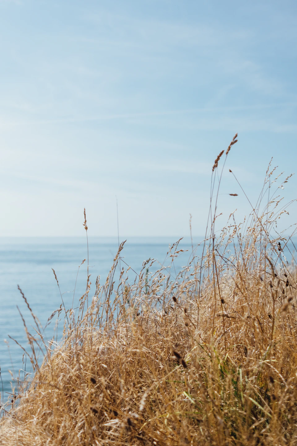 The image depicts a serene coastal scene with a grassy hill on the left side, overlooking the vast expanse of water that stretches out to meet the sky at the horizon. The grass is dry and brown, suggesting it has been exposed to the elements for some time. In the distance, there are no other discernible objects or people in the image.