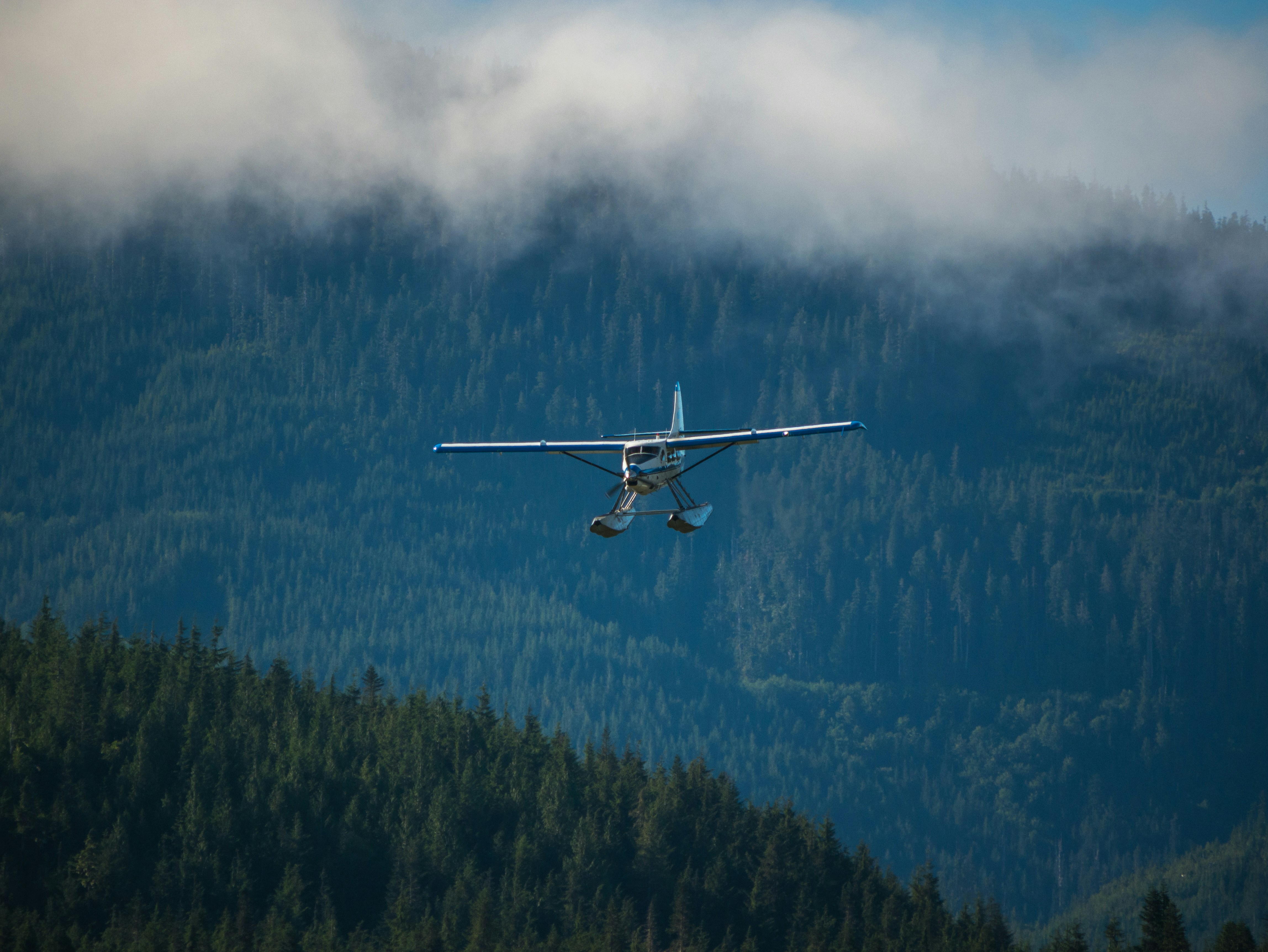 airplane above mountain covered in trees, 