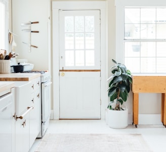 green potted leaf plant beside white wooden door