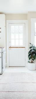 green potted leaf plant beside white wooden door