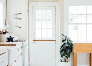 green potted leaf plant beside white wooden door