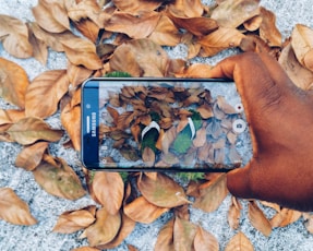 black Samsung Galaxy smartphone taking photo of green flip flops with dried leaves
