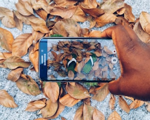 black Samsung Galaxy smartphone taking photo of green flip flops with dried leaves