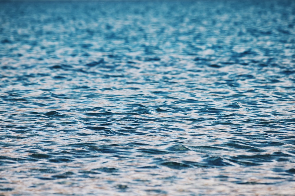 photo of wavy body of water