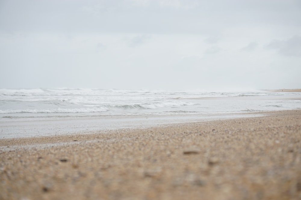 body of water across sea shore