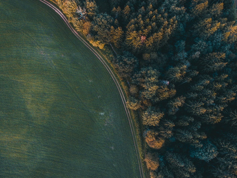Fotografía aérea de un camino de tierra entre el bosque y el campo de hierba durante el día