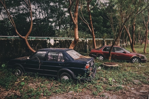 Two old, abandoned cars are parked on a grassy area surrounded by trees. The vehicles are covered in dirt and leaves, suggesting they have been there for a long time. A wall covered in greenery runs behind them, adding to the overgrown and neglected atmosphere.