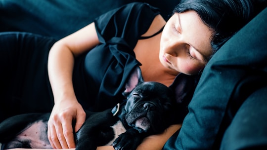 tired woman and black French bulldog sleeping on sofa