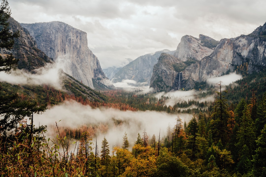 travelers stories about Nature reserve in Yosemite Valley, United States