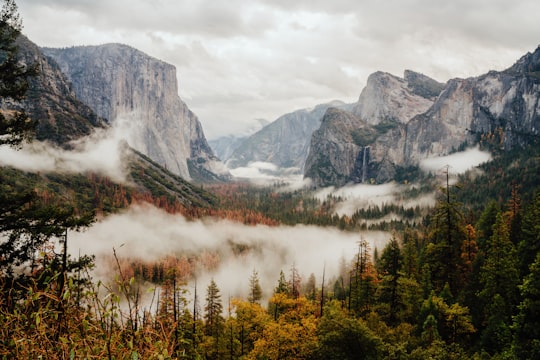 aerial photography of foggy forest overlooking mountain range in Yosemite National Park, Yosemite Valley United States