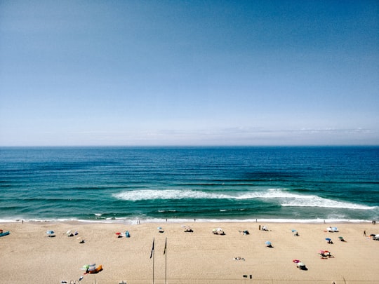 people at the seashore with canopy umbrella photo during daytime in Santa Cruz Portugal