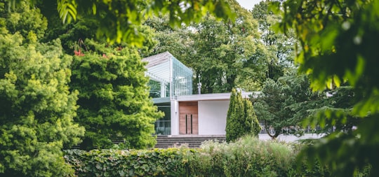 photo of Royal Leamington Spa Cottage near Bradgate Park