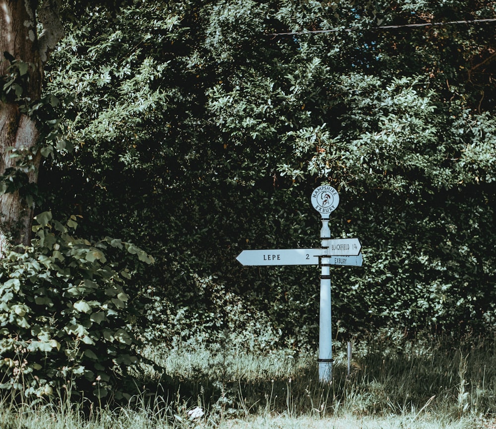 LEPE signage