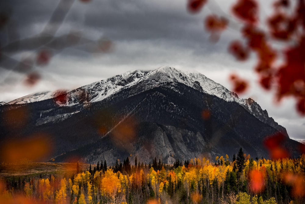 mountain across plant field during cloudy day