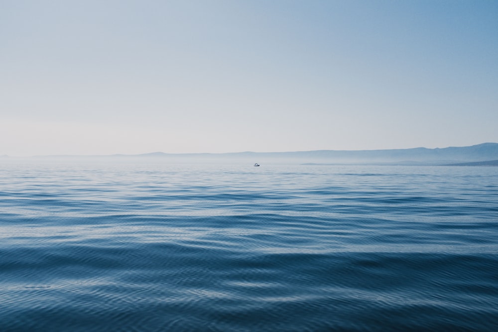 body of water during daytime