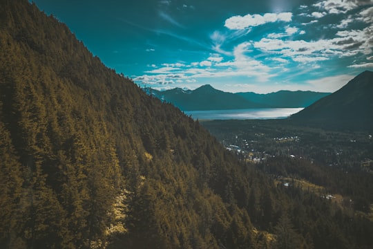 photo of green forest near body of water under cloudy sky in Alaska United States