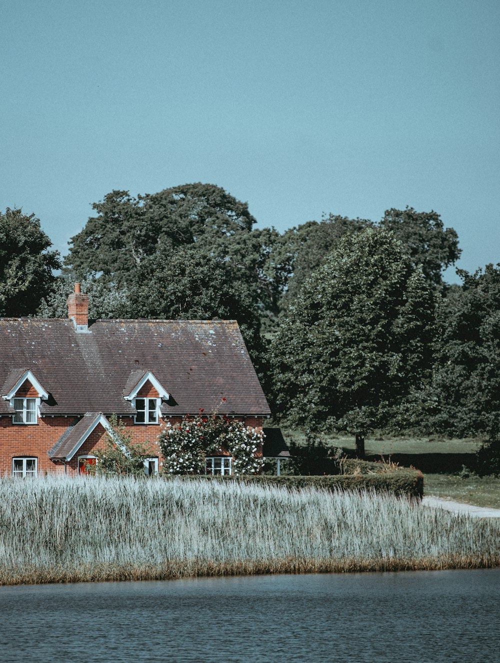 house near body of water under blue sky