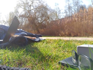 A peaceful outdoor scene with sunlight shining on green grass. A laptop is open on a blanket, with a book and a pair of eyeglasses beside a small speaker. In the background, there are tall brown reeds and leafless trees under a clear blue sky.