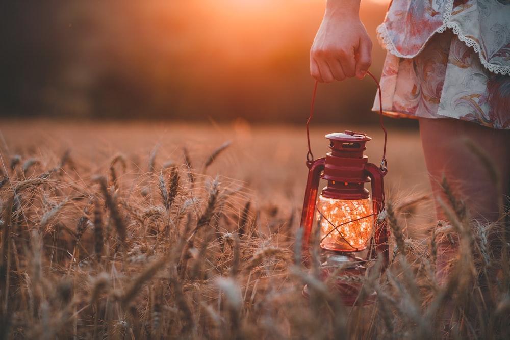 fotografia ravvicinata di donna che indossa gonna floreale che tiene una lanterna a gas rossa al campo di erba marrone