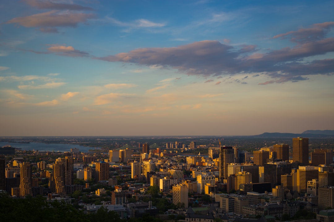 Skyline photo spot Mount Royal Park Parc de la Cite-du-Havre