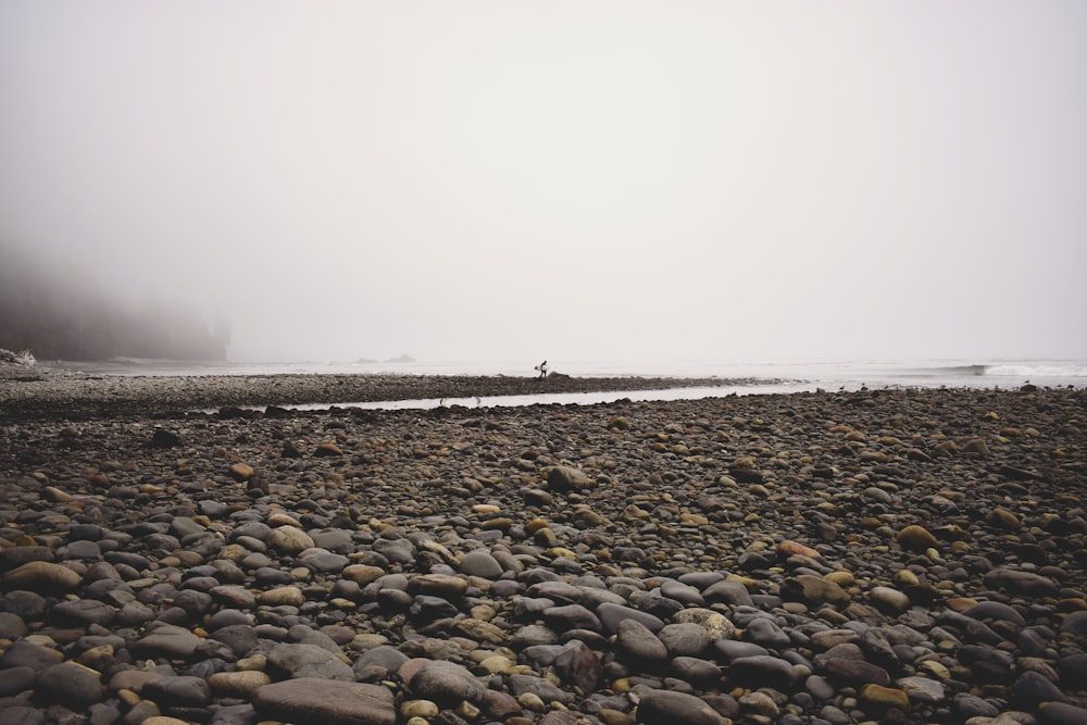 brown rocky shoreline at daytime