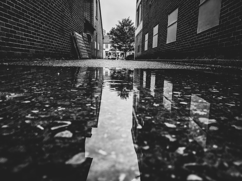 grayscale photography of pavement with water flowed