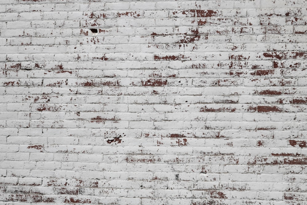muro di mattoni in cemento bianco e marrone