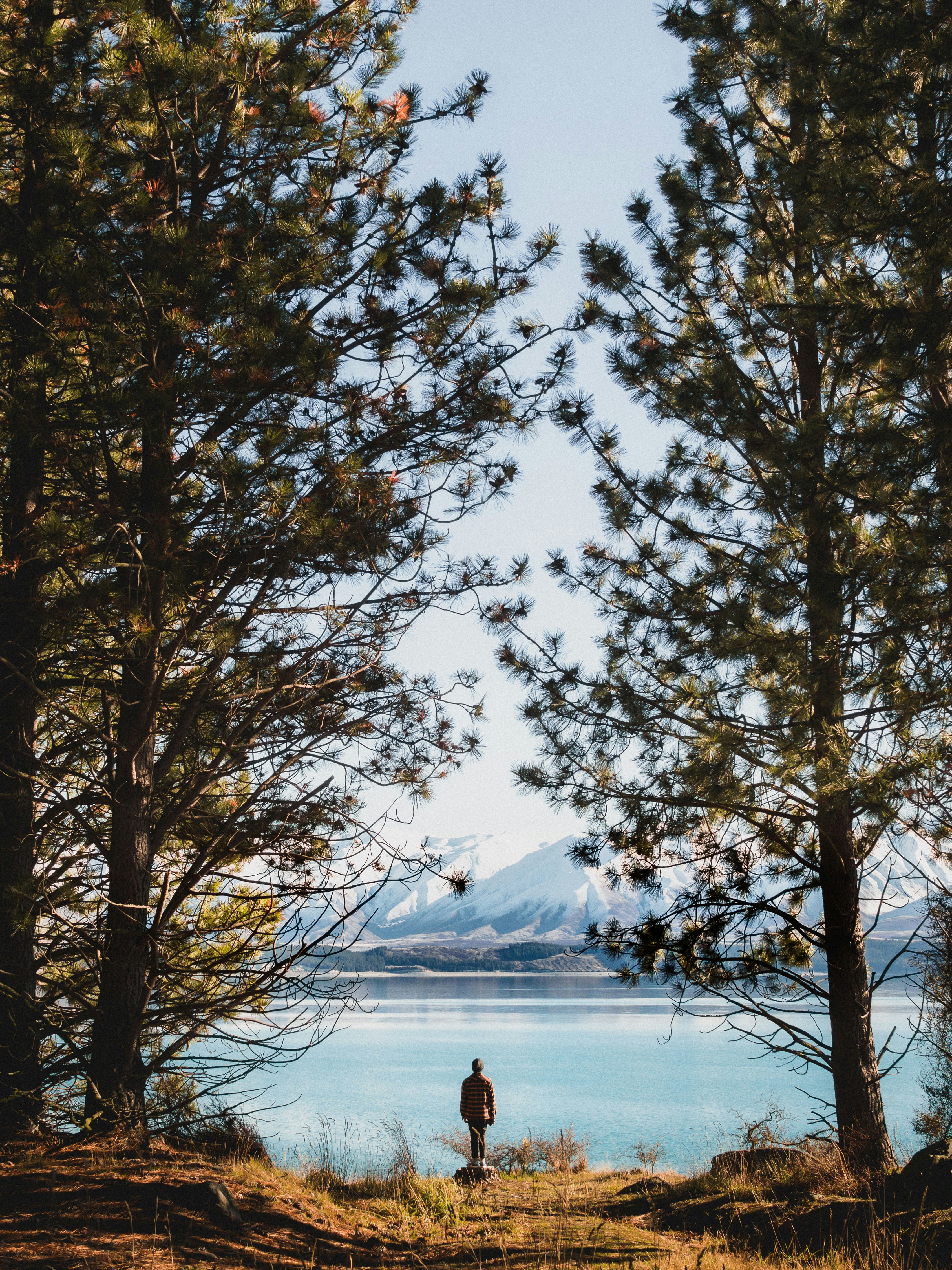 person standing beside body of water during day