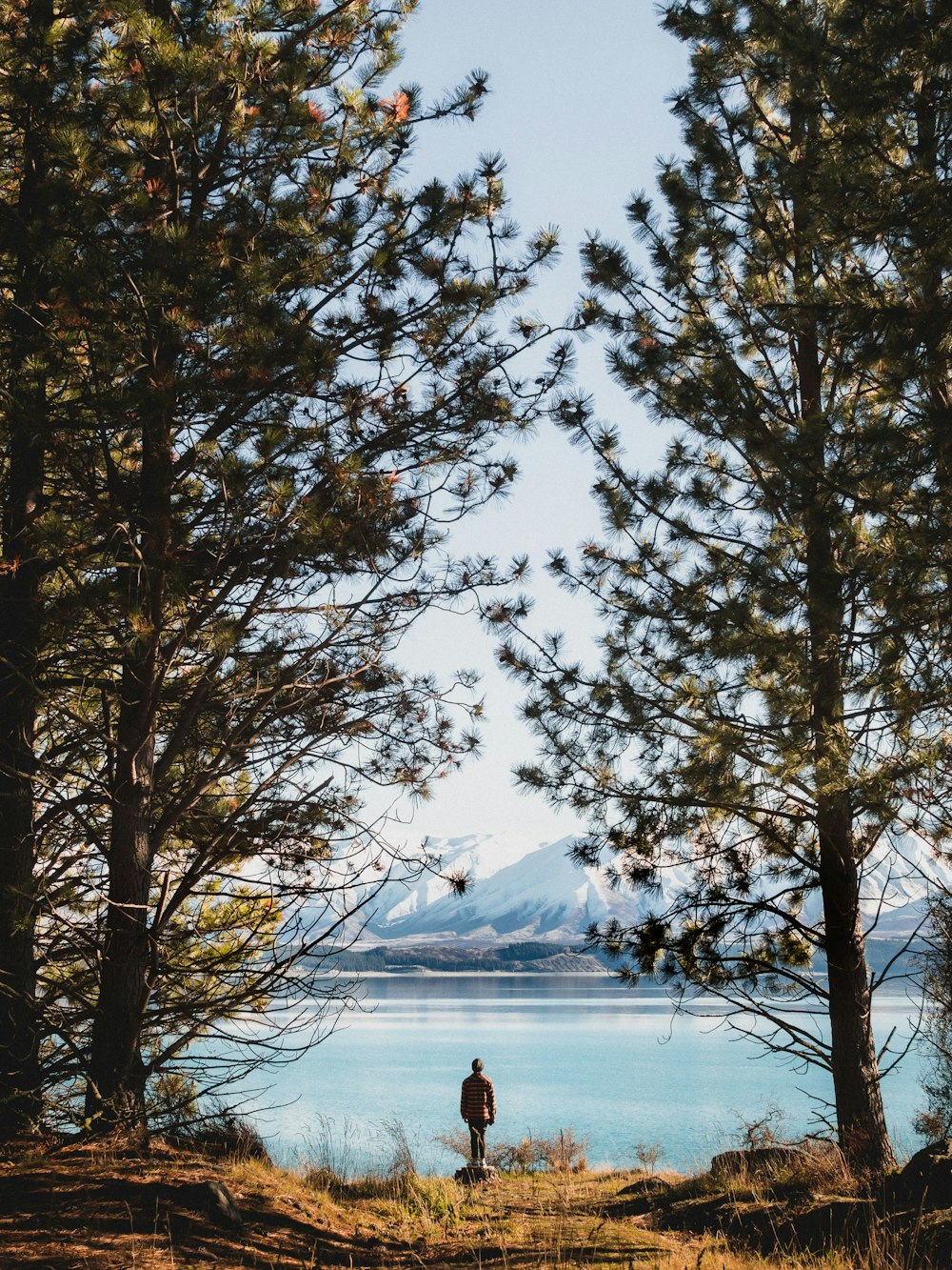 person standing beside body of water during day