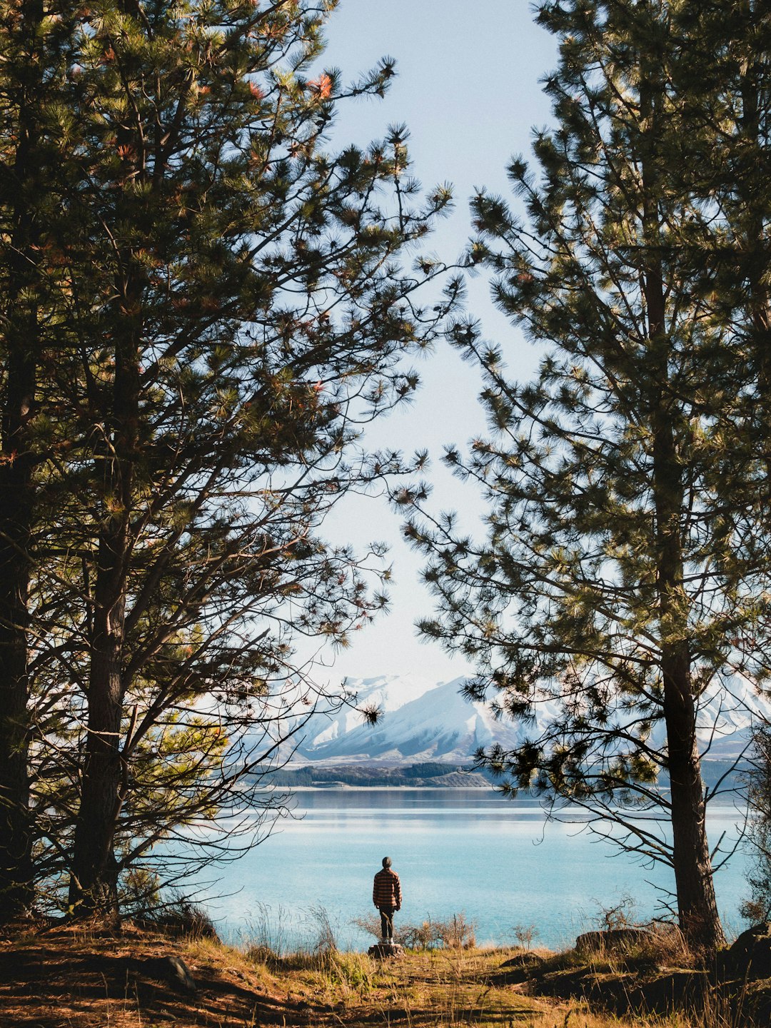 Forest photo spot Lake Pukaki New Zealand