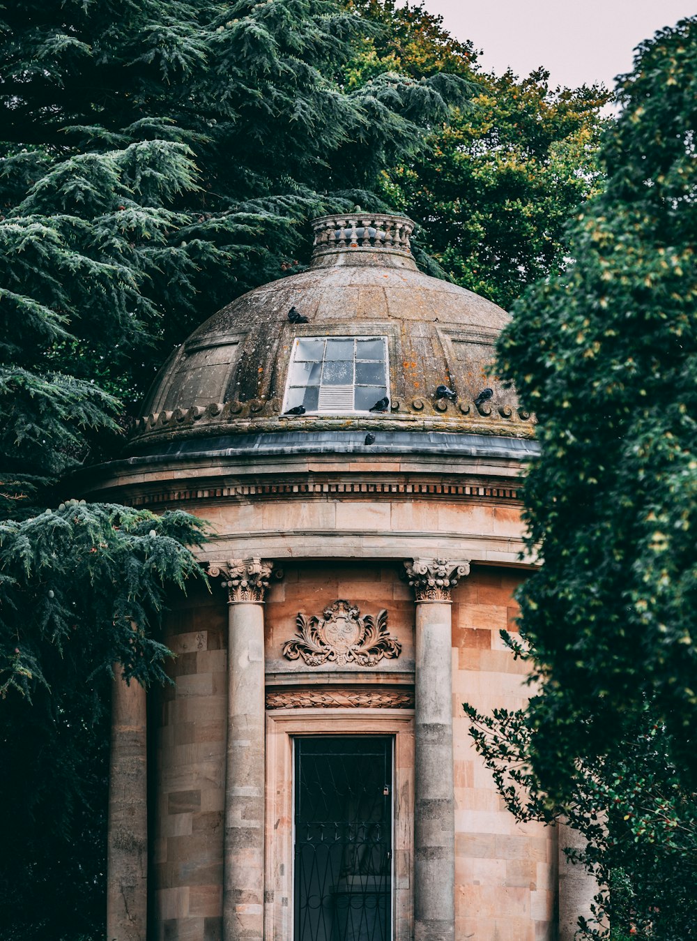 brown dome building surrounded by trees