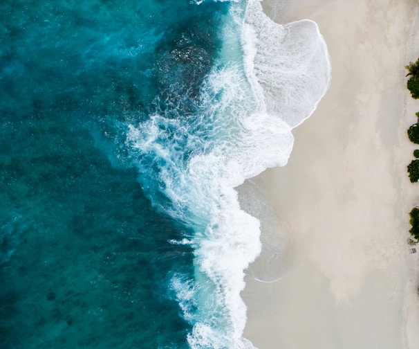 aerial photography of large body of water and shoreline