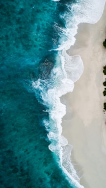 aerial photography of large body of water and shoreline
