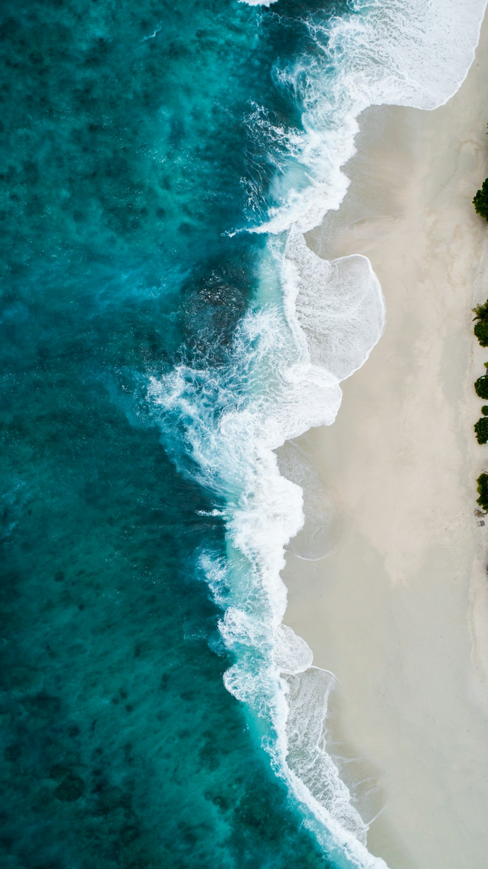 photographie aérienne d'une grande étendue d'eau et du rivage