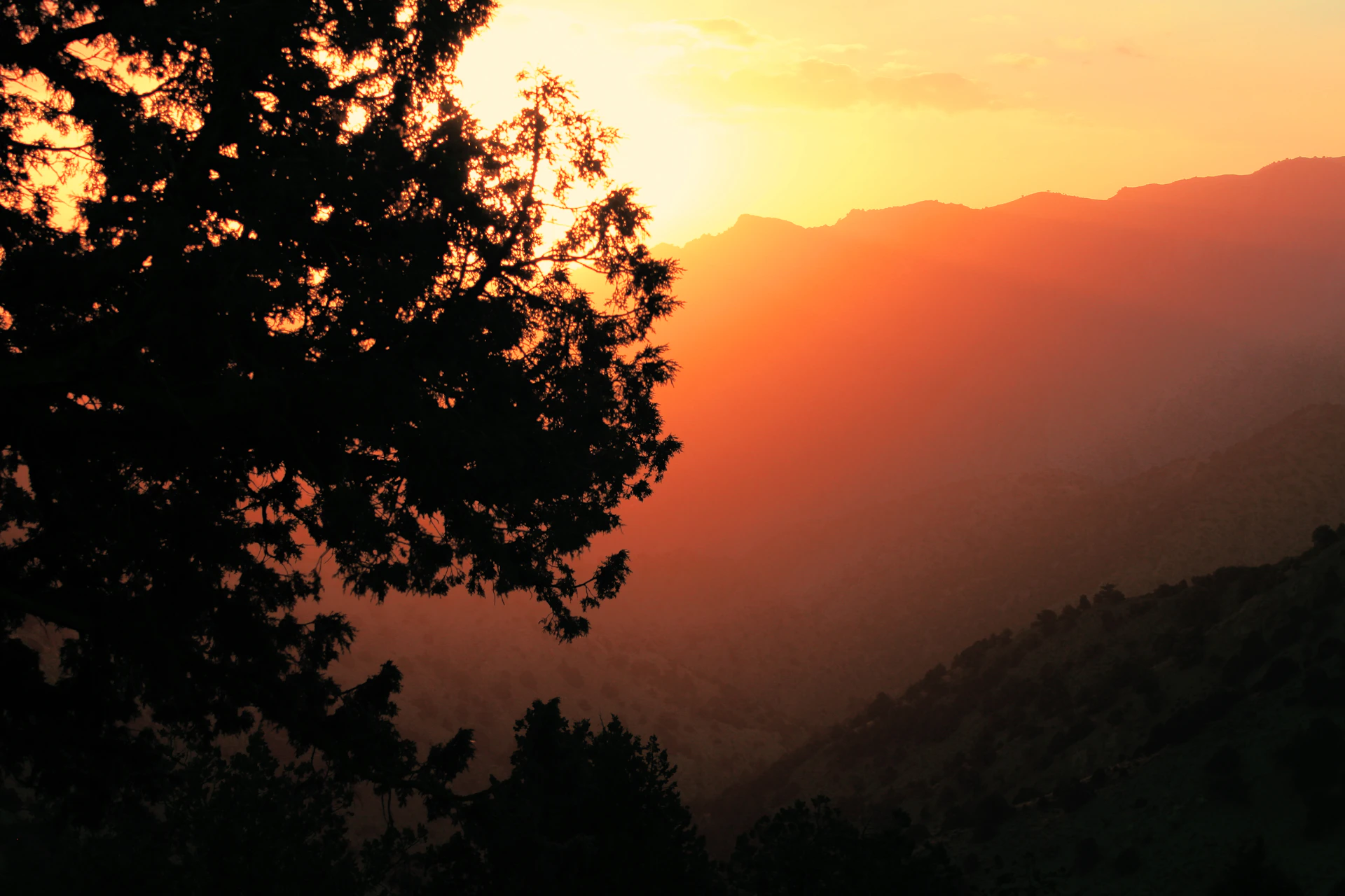 gray computer monitor