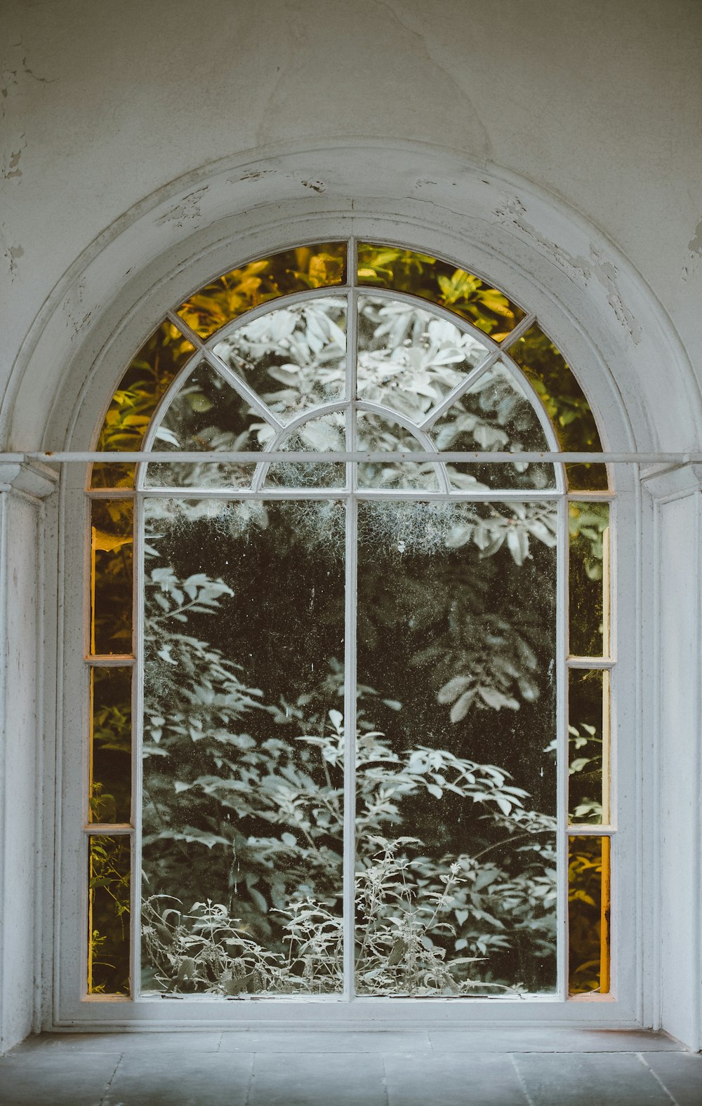 clear glass window with white frame