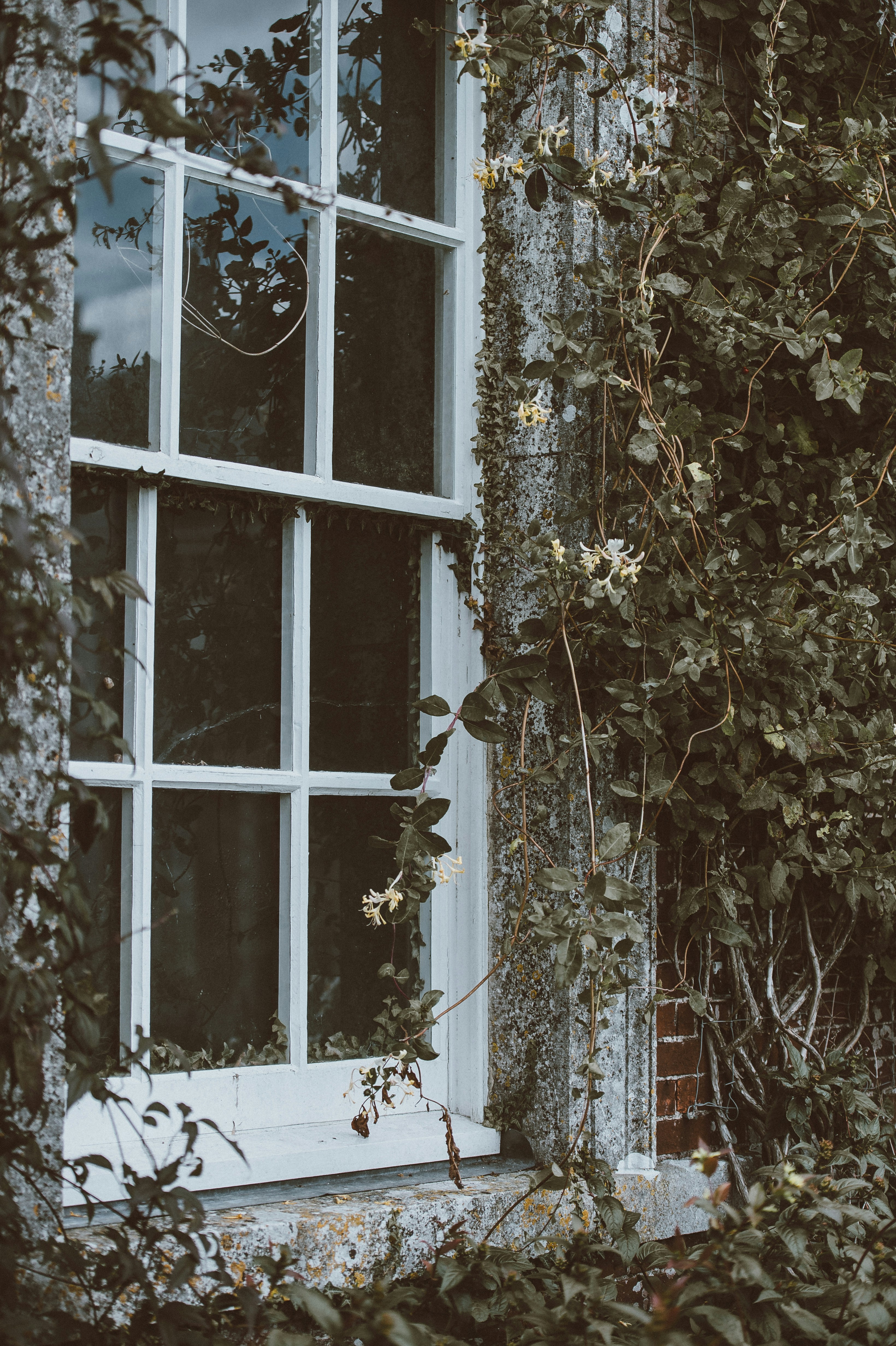 Photo by anniespratt