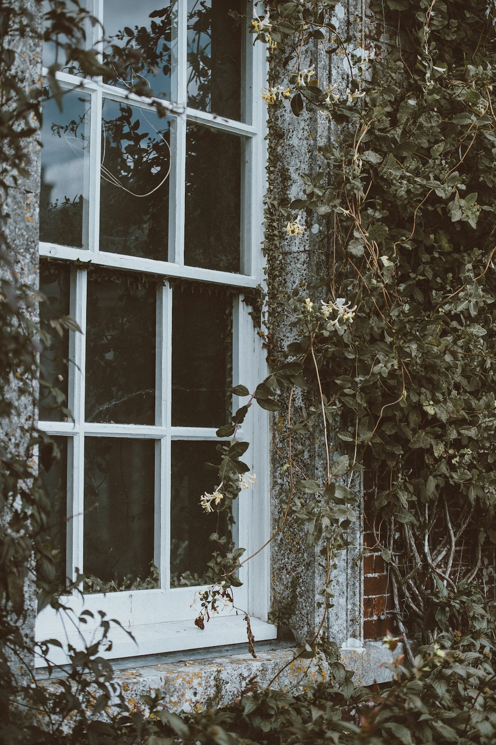 white framed glass window closed