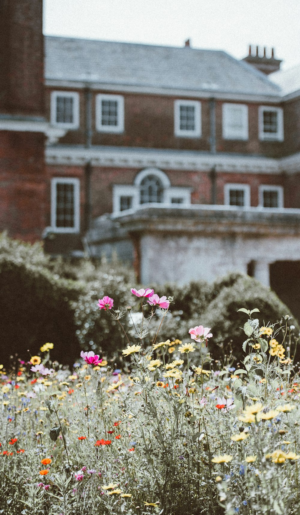 Fotografia de foco seletivo de flor de pétala rosa