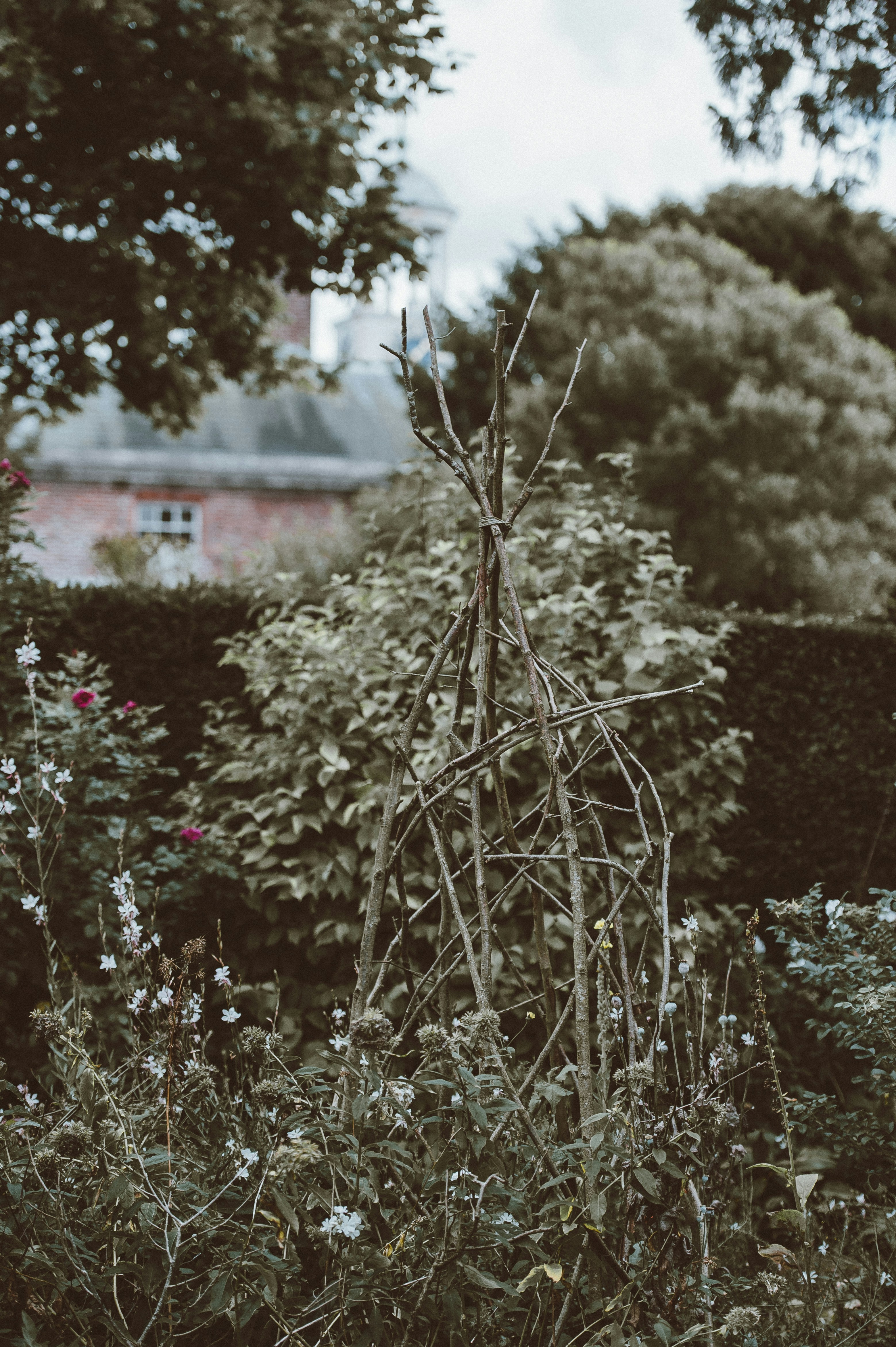 Photo by anniespratt