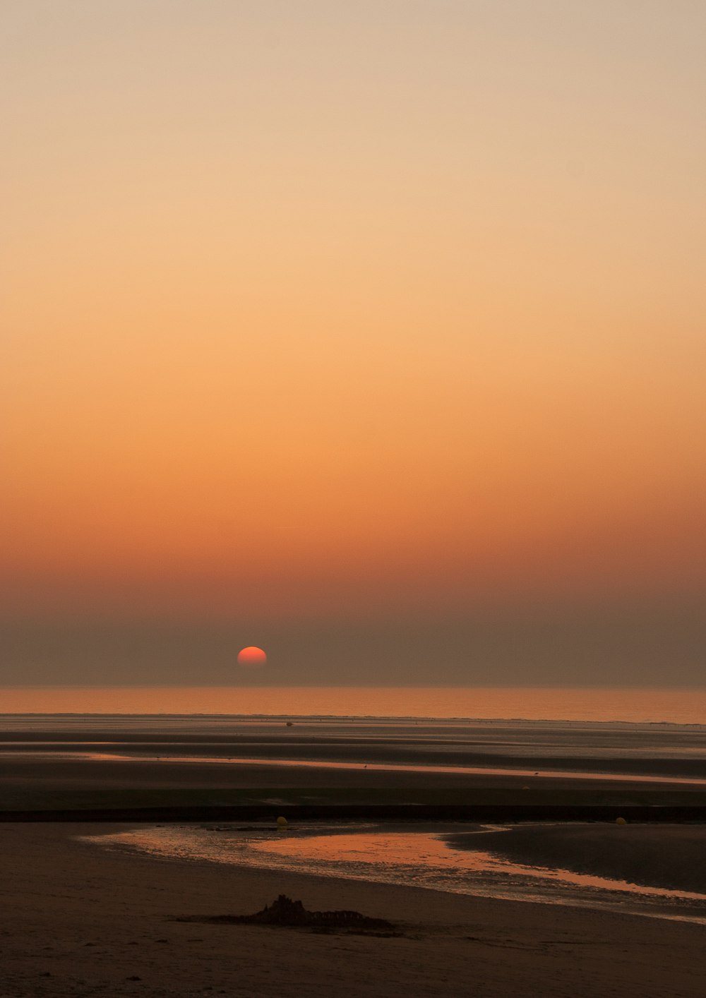 seashore during golden hour
