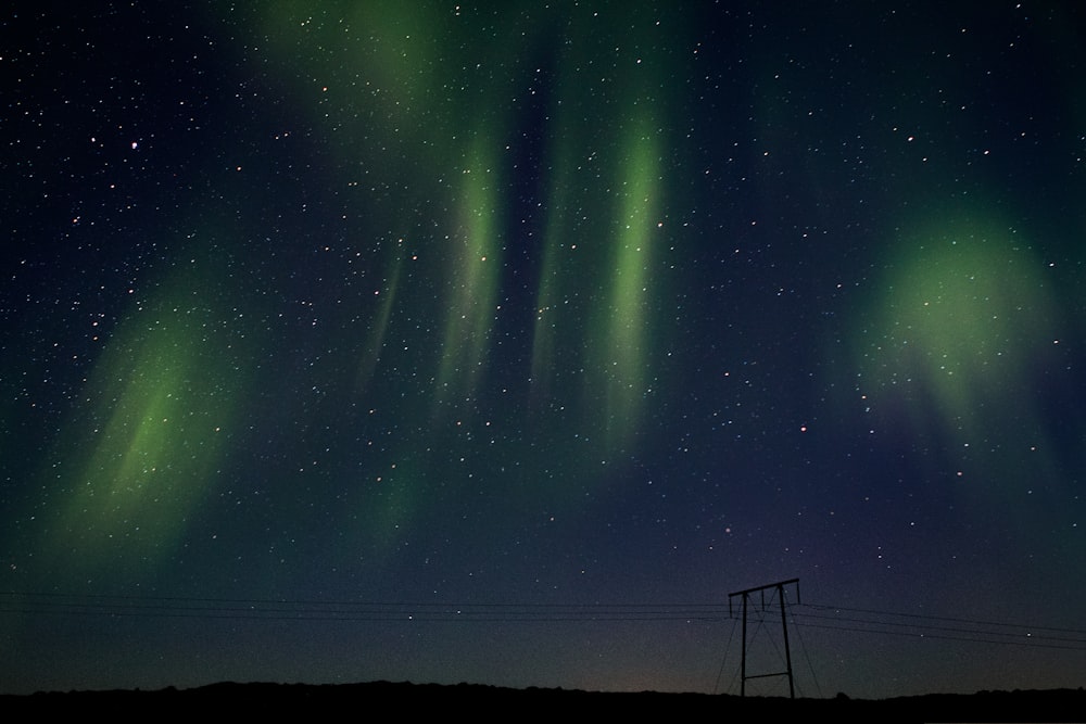 aurora borealis during night time
