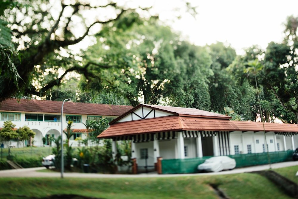 architectural photography of white building